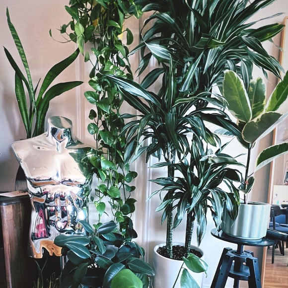 Meet your Posher, CW - Picture 1 of 1